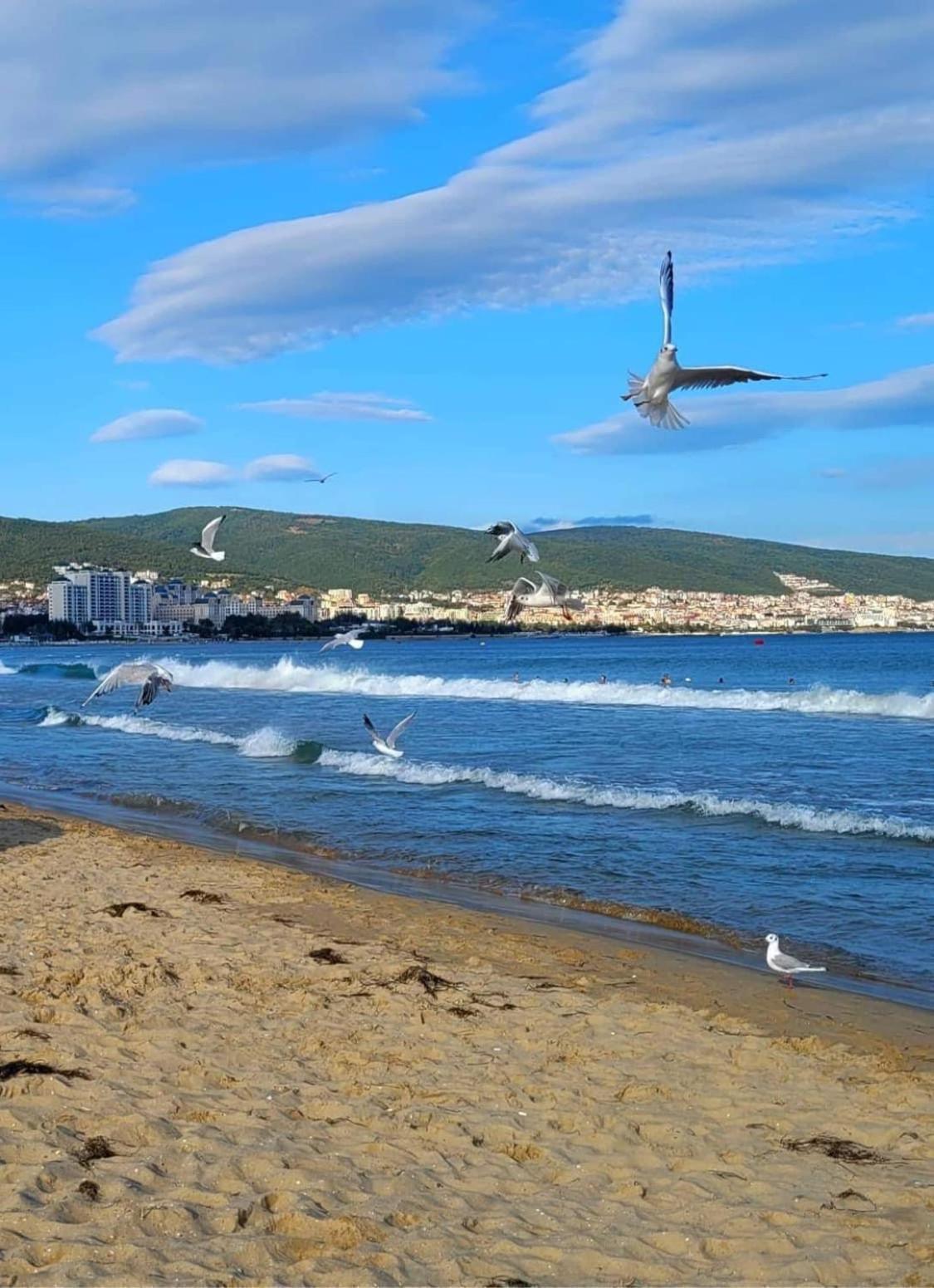 Wonderful Deluxe Appartement In Cascadas Family Resort Sunny Beach Exterior foto